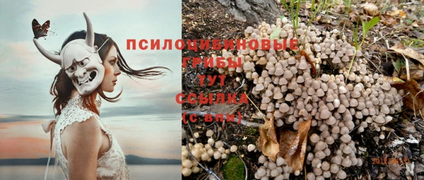 МДПВ Абдулино