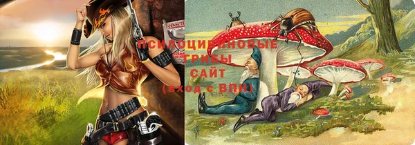 МДПВ Абдулино