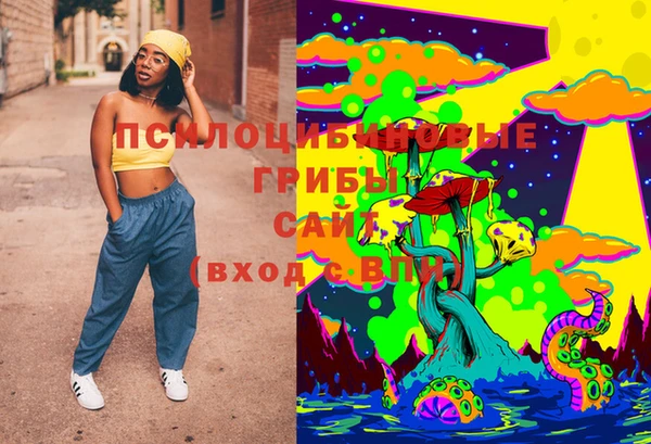 PSILOCYBIN Абаза