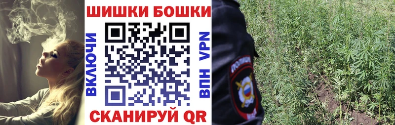 Каннабис Amnesia  купить наркотики сайты  shop формула  Костерёво 